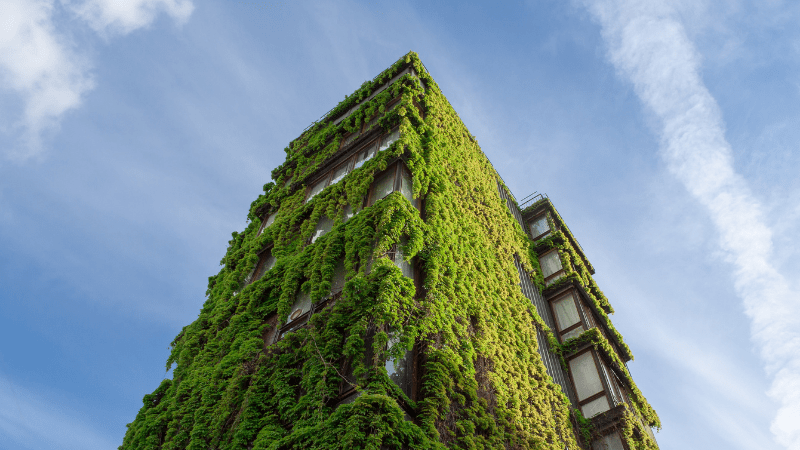 L’immobilier responsable : un pas pour l’avenir